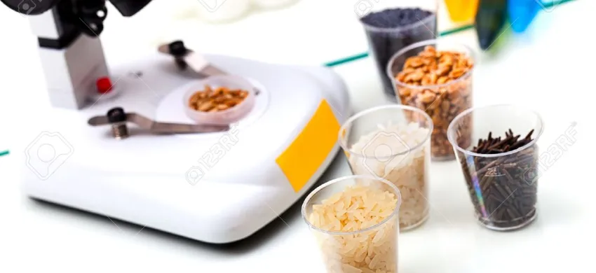 Food and Beverages Chemicals Cleaning and Sanitizing 2 10953608_lab_of_microbiological_testing_for_food_quality_stock_photo